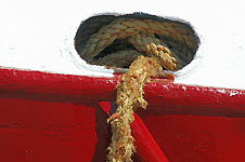 Klik hier voor een vergroting van de foto.