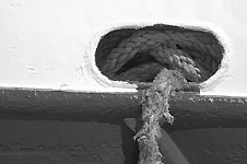 Klik hier voor een vergroting van de foto.