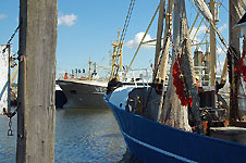 Klik hier voor een vergroting van de foto.