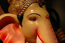 Klik hier voor een vergroting van de foto.