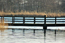 Klik hier voor een vergroting van de foto.