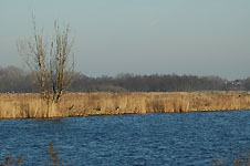 Klik hier voor een vergroting van de foto.