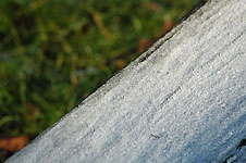 Klik hier voor een vergroting van de foto.