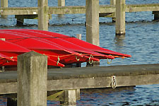 Klik hier voor een vergroting van de foto.