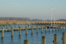 Klik hier voor een vergroting van de foto.