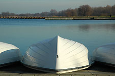 Klik hier voor een vergroting van de foto.