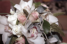 Klik hier voor een vergroting van de foto.