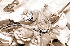 Klik hier voor een vergroting van de foto.