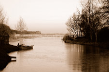 Click on the photo to enlarge.