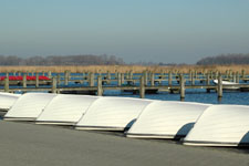 Click on the photo to enlarge.