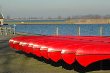 Click on the photo to enlarge.