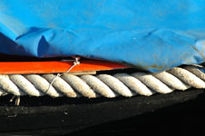 Click on the photo to enlarge.