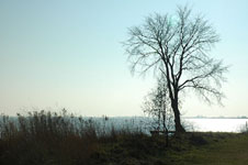 Click on the photo to enlarge.