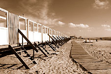 Klik hier voor een vergroting van de foto.