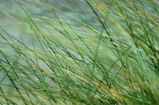 Click on the photo to enlarge.