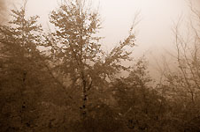 Click on the photo to enlarge.