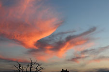 Click on the photo to enlarge.