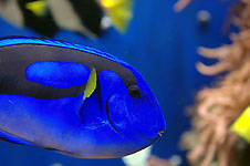 Click on the photo to enlarge.