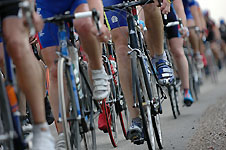 Click on the photo to enlarge.