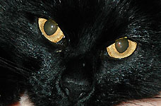 Click on the photo to enlarge.