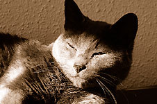 Click on the photo to enlarge.