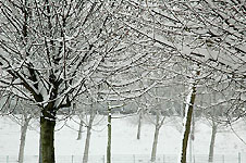 Click on the photo to enlarge.