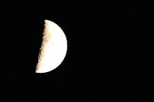 Click on the photo to enlarge.