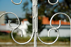 Click on the photo to enlarge.