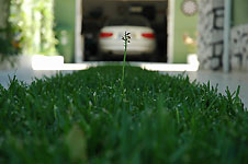 Click on the photo to enlarge.