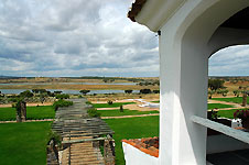 Click on the photo to enlarge.