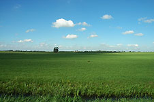 Click on the photo to enlarge.