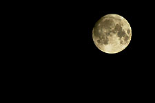 Click on the photo to enlarge.