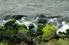 Click on the photo to enlarge.