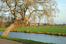 Click on the photo to enlarge.