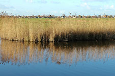 Click on the photo to enlarge.