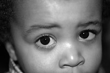 Click on the photo to enlarge.