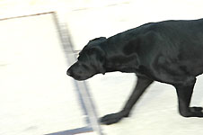 Click on the photo to enlarge.