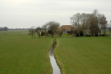 Click on the photo to enlarge.