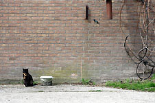 Klik hier voor een vergroting van de foto.