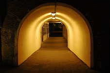 Klik hier voor een vergroting van de foto.