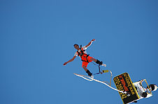 Klik hier voor een vergroting van de foto.