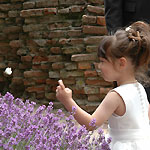 Klik hier voor een vergroting van de foto.