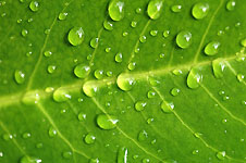 Klik hier voor een vergroting van de foto.